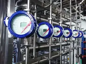 Purified Water System (PW Generation)