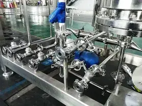 Pure Steam Generator