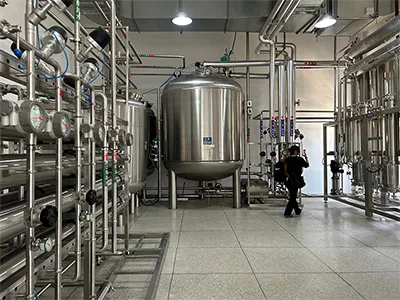 Purified Water Generation and Storage System for a Uzbekistani Pharmaceutical Company