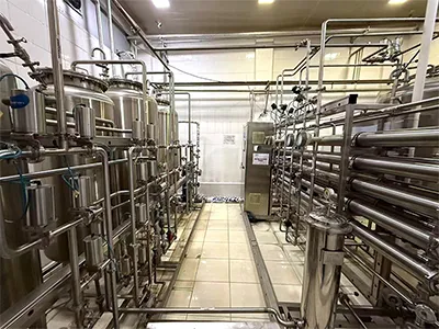 Purified Water System for a Solid Dosage Manufacturing Company in Vietnam