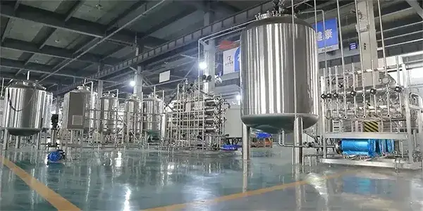 Company Profile